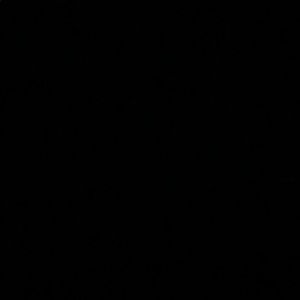 Meet your Posher, Gracie